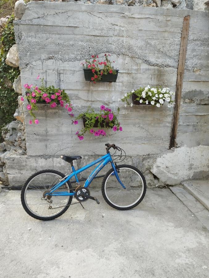 State Apartments Kotor Zewnętrze zdjęcie